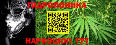 таблы Новозыбков