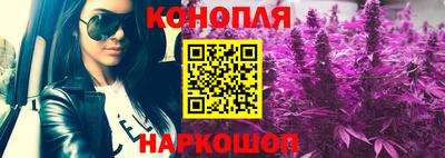 таблы Новозыбков